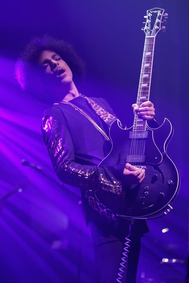 Prince gallery photo 3