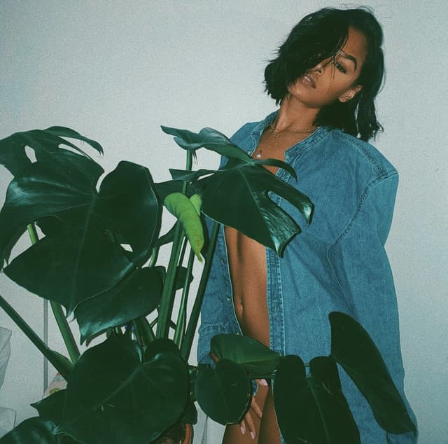 Lavaud gallery photo 4