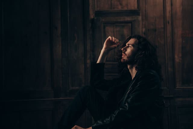 Hozier gallery photo 5