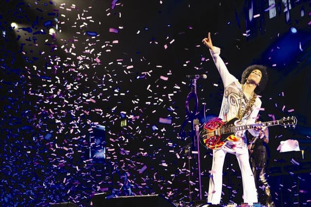 Prince gallery photo 4