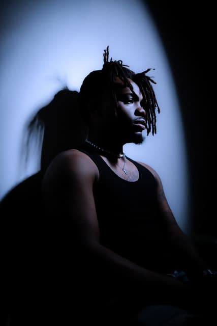 Dende gallery photo 1