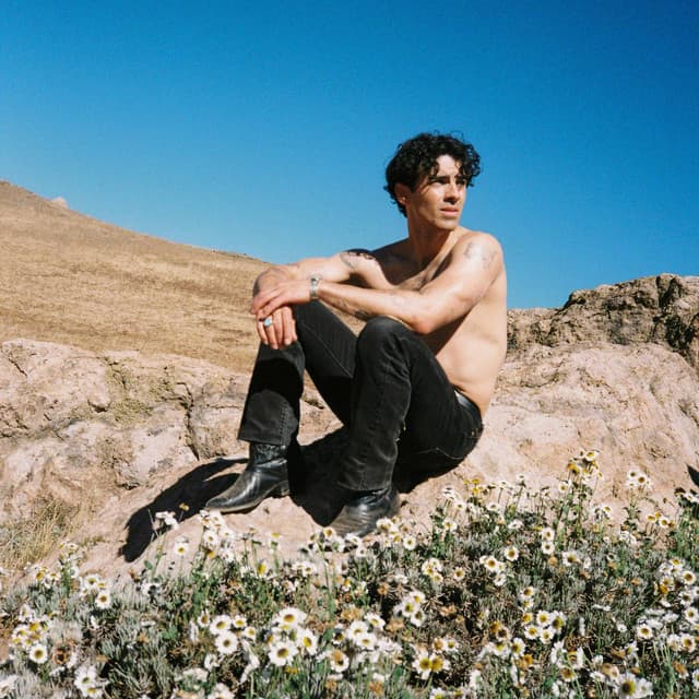 Joe Jonas gallery photo 1