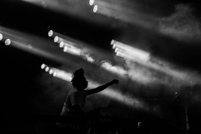 Goose gallery photo 5