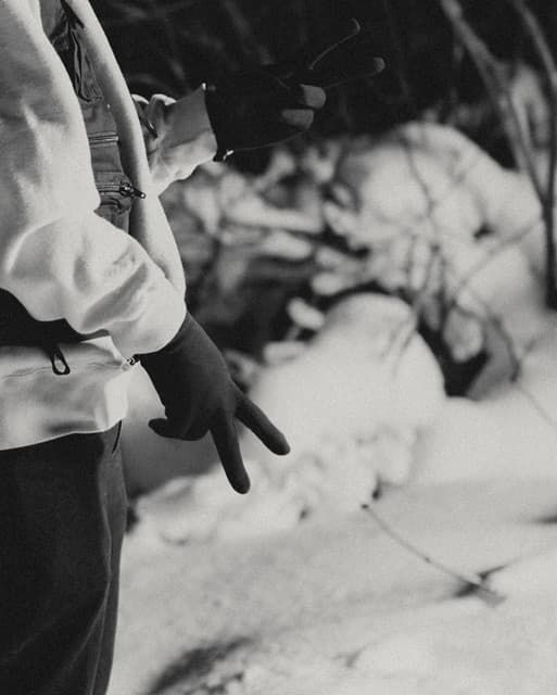 PENNY TAYLOR gallery photo 1