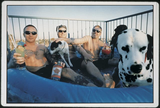 Sublime gallery photo 5