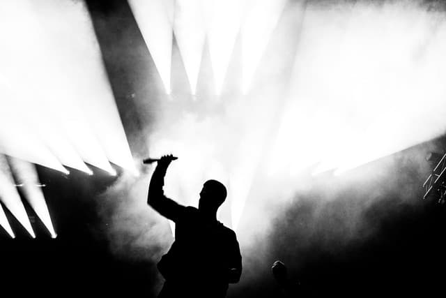 Goose gallery photo 4