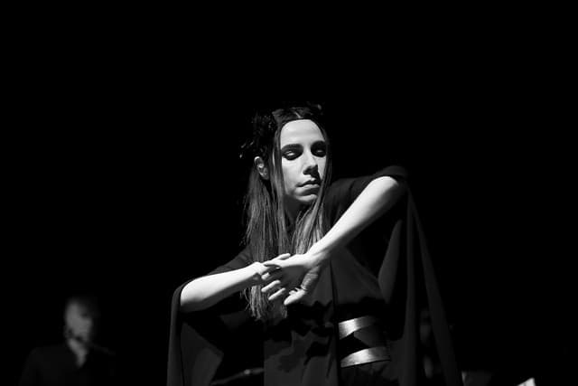 PJ Harvey gallery photo 1