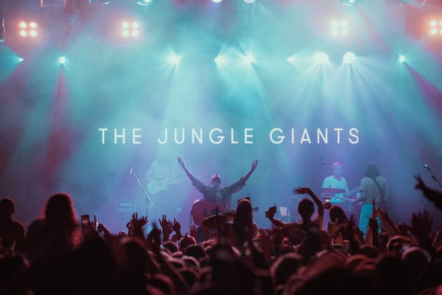 The Jungle Giants gallery photo 7