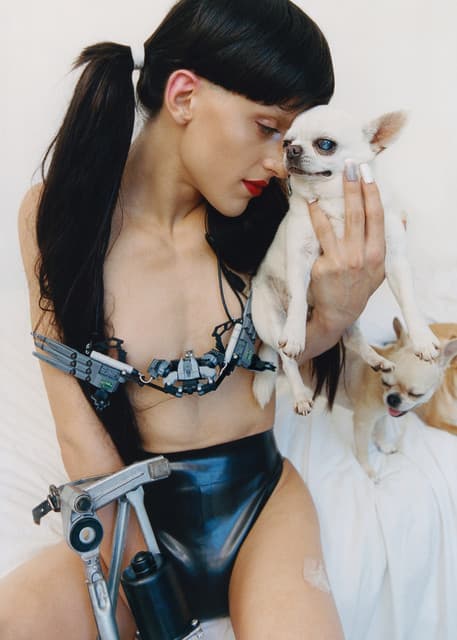 Arca gallery photo 4