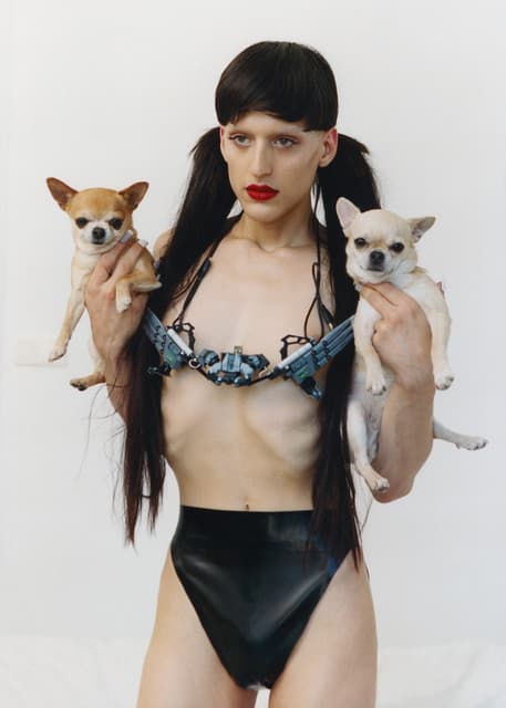 Arca gallery photo 3