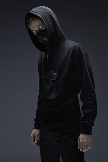 Alan Walker gallery photo 4