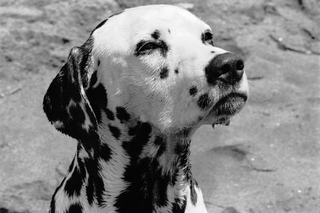 Sublime gallery photo 10