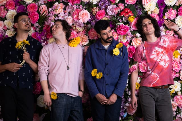 Eggy gallery photo 1