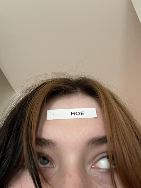 Gayle gallery photo 5