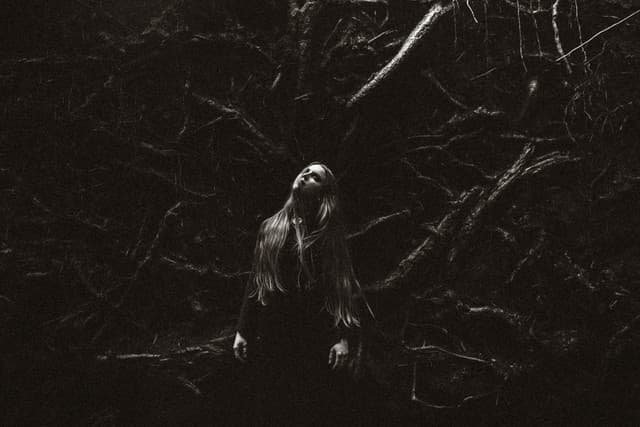 Hulder gallery photo 2