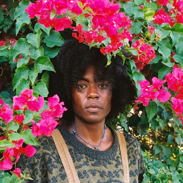 PawPaw Rod gallery photo 3