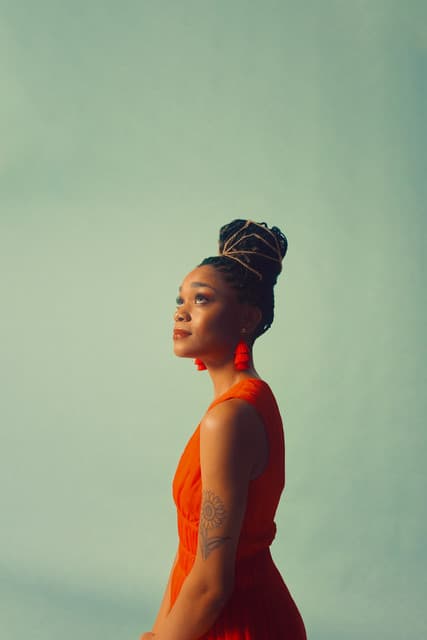 Terrian gallery photo 4