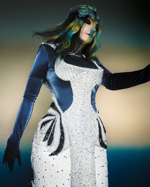 Björk gallery photo 5