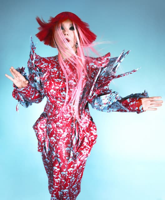 Björk gallery photo 1