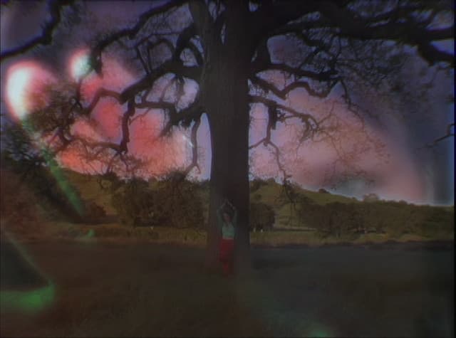 SparkieD gallery photo 2