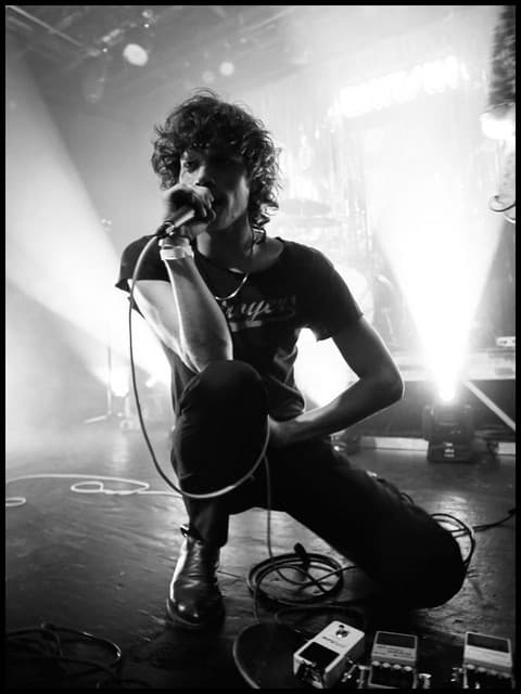 The Criticals gallery photo 6