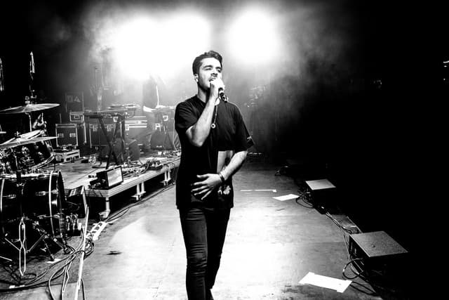 Goose gallery photo 2