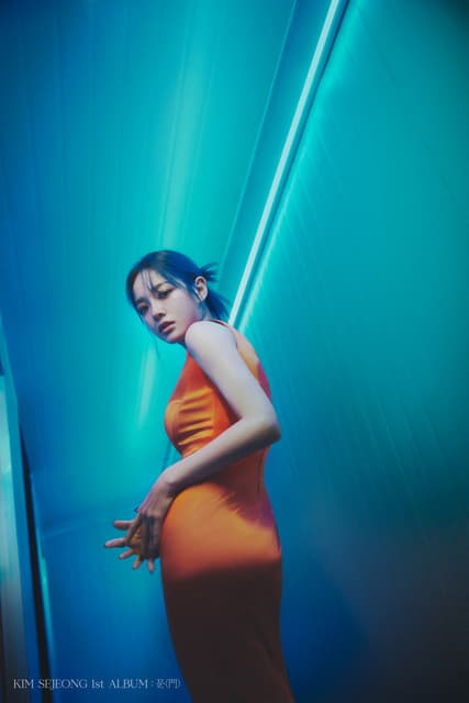 KIMSEJEONG gallery photo 8