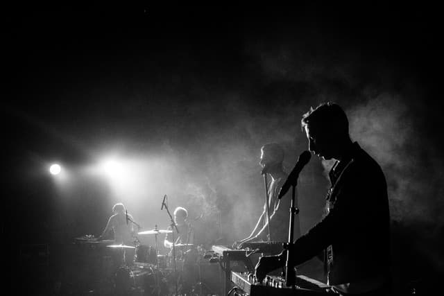 Goose gallery photo 7