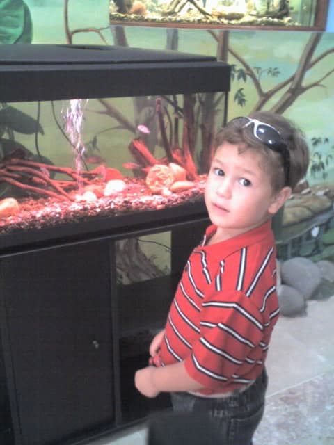 i don't like mirrors gallery photo 3