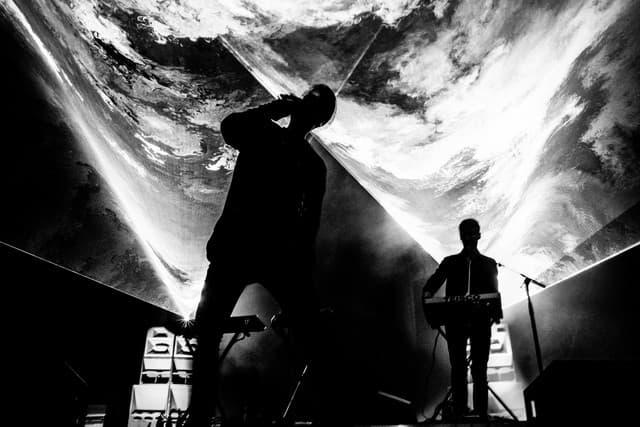 Goose gallery photo 6