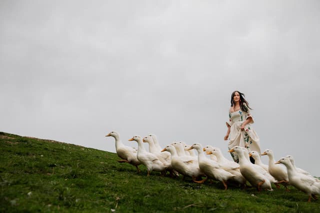 Kacey Musgraves gallery photo 4
