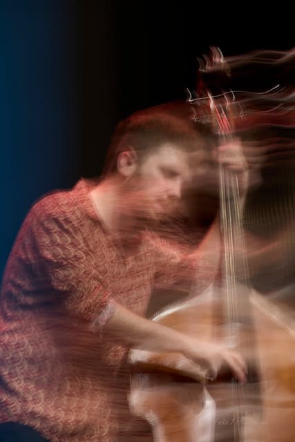 Pere Bujosa gallery photo 5