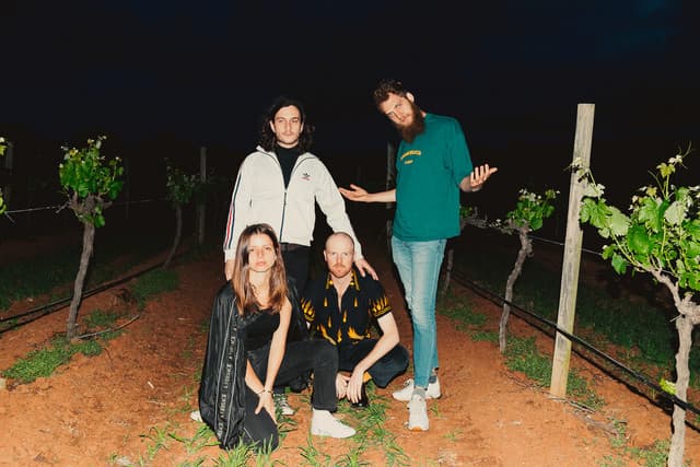 The Jungle Giants gallery photo 11