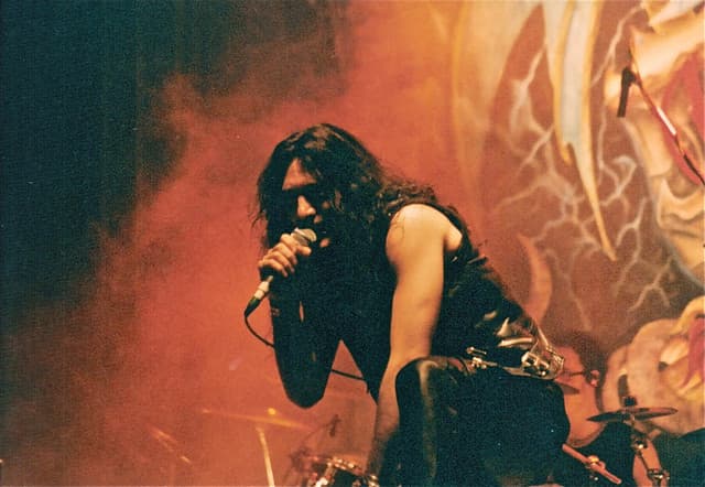 Steele gallery photo 5