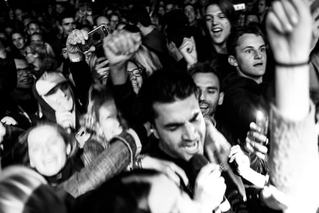 Goose gallery photo 3