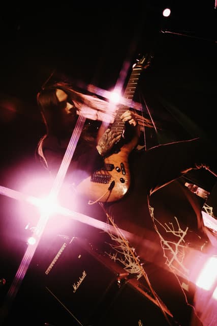 Decessus gallery photo 6