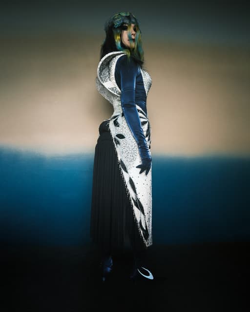 Björk gallery photo 4