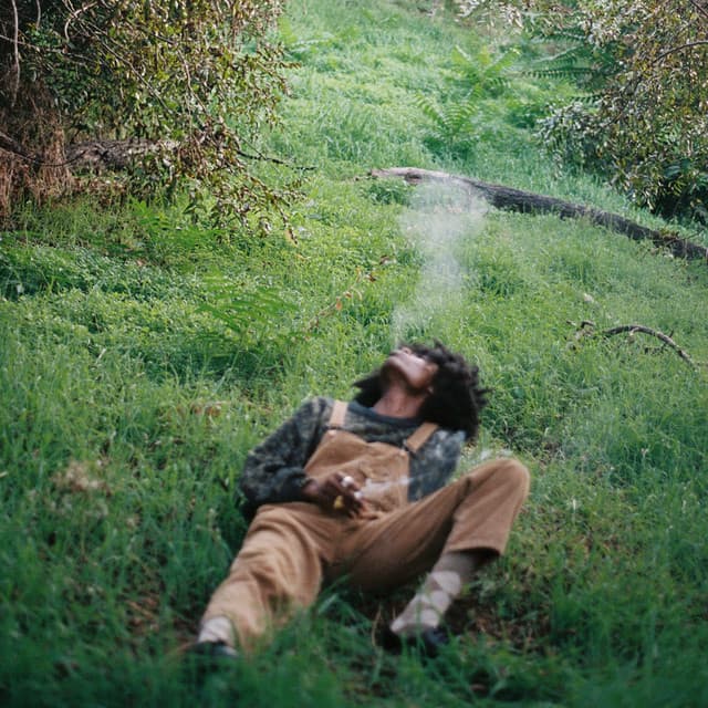 PawPaw Rod gallery photo 4