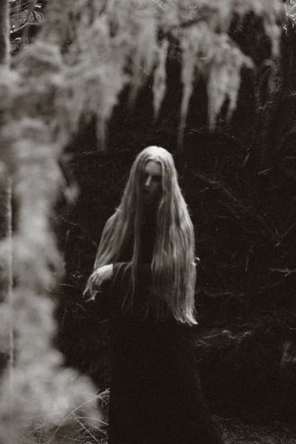Hulder gallery photo 3