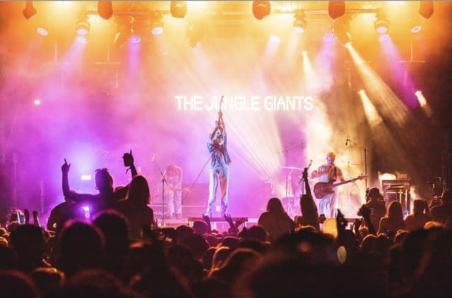 The Jungle Giants gallery photo 3