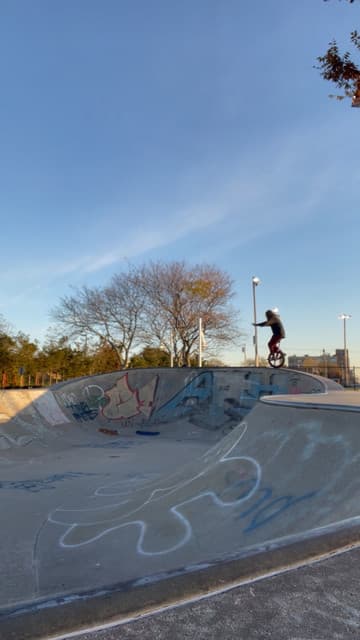 elydz gallery photo 3