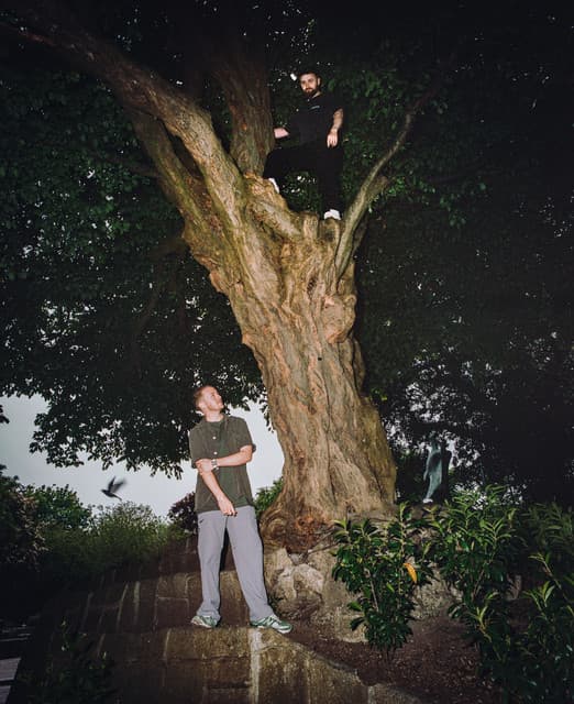 Disclosure gallery photo 2