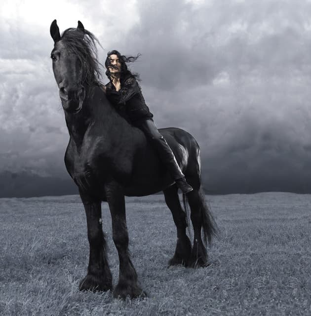 Steele gallery photo 1