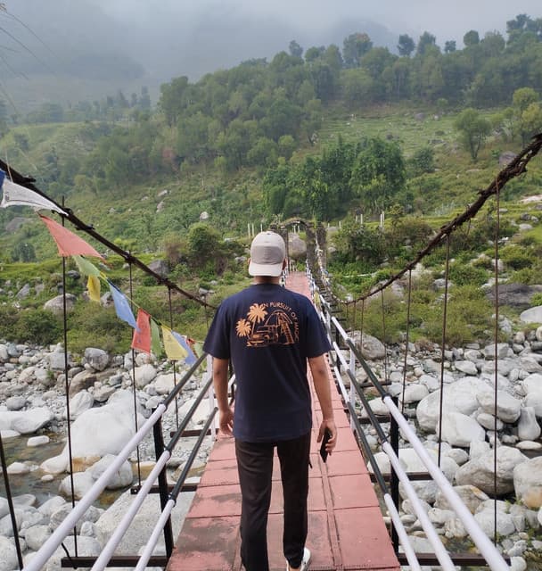 YAGMIN MUSIC gallery photo 4