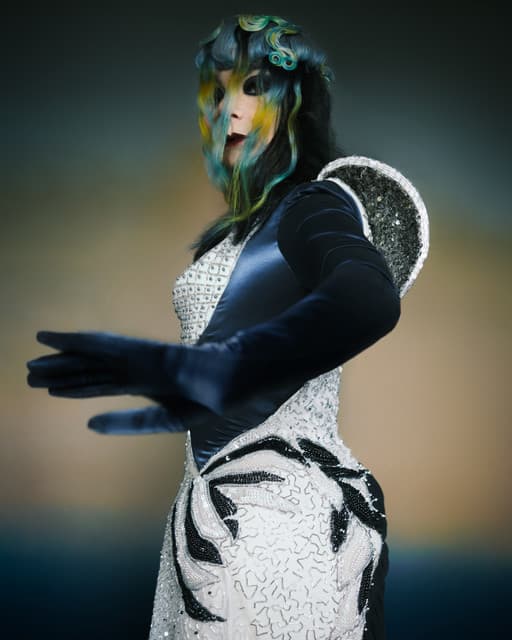 Björk gallery photo 6