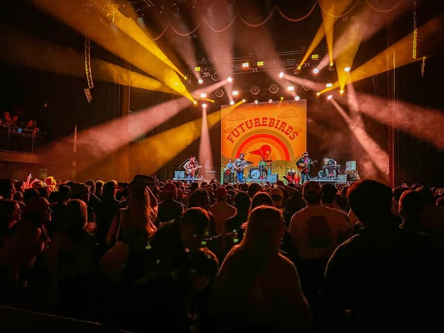 Futurebirds gallery photo 2