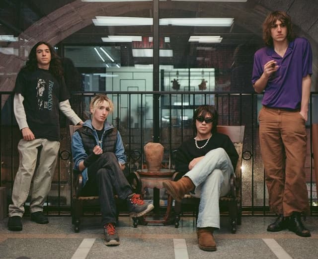 Geese gallery photo 1