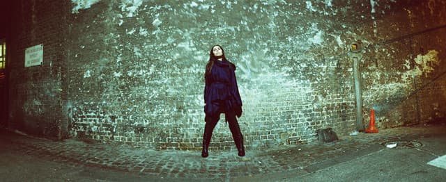 PJ Harvey gallery photo 5