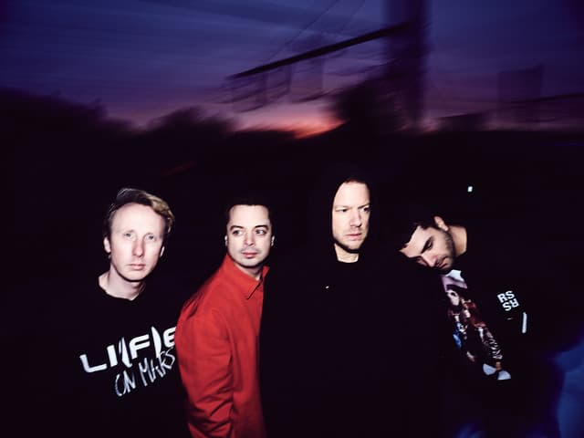 Goose gallery photo 1