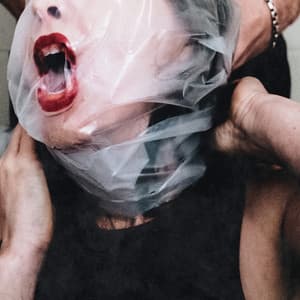 Album: Flesh Stays Together